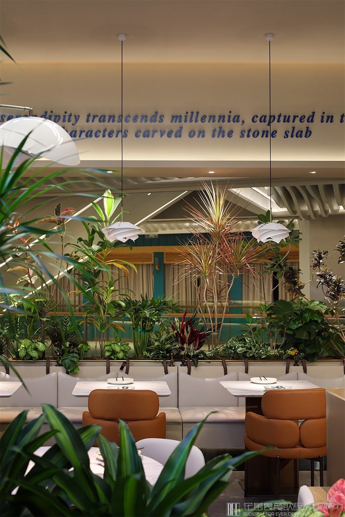 【樹岸】西餐餐飲空間設(shè)計(jì)案例圖片 14