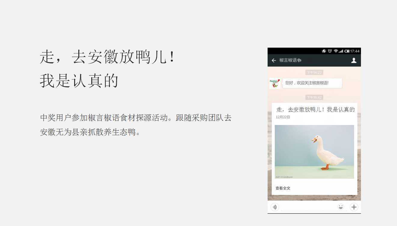 【椒言椒語(yǔ)】快餐店餐飲品牌營(yíng)銷策劃案例圖片 17